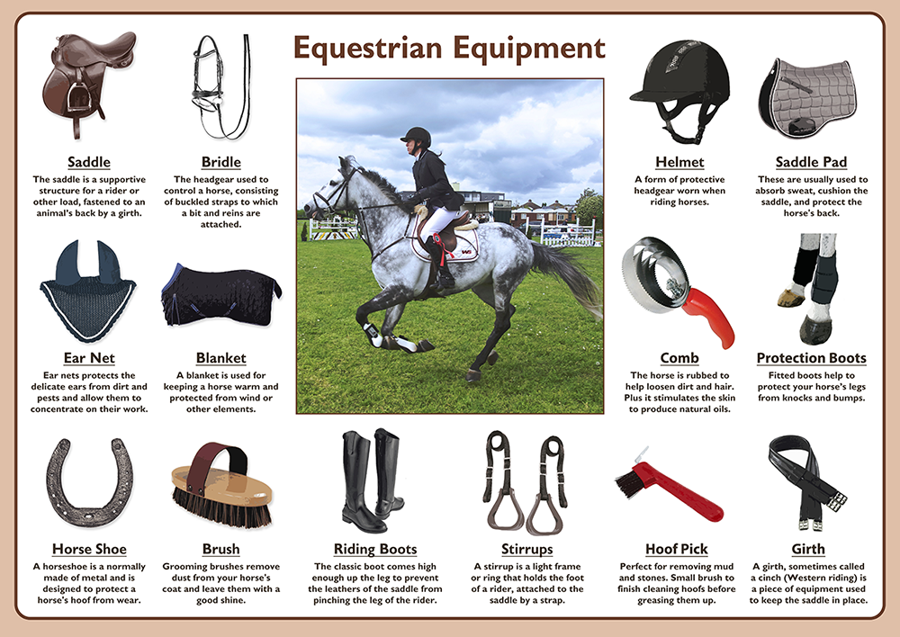 Local equestrian shop shops