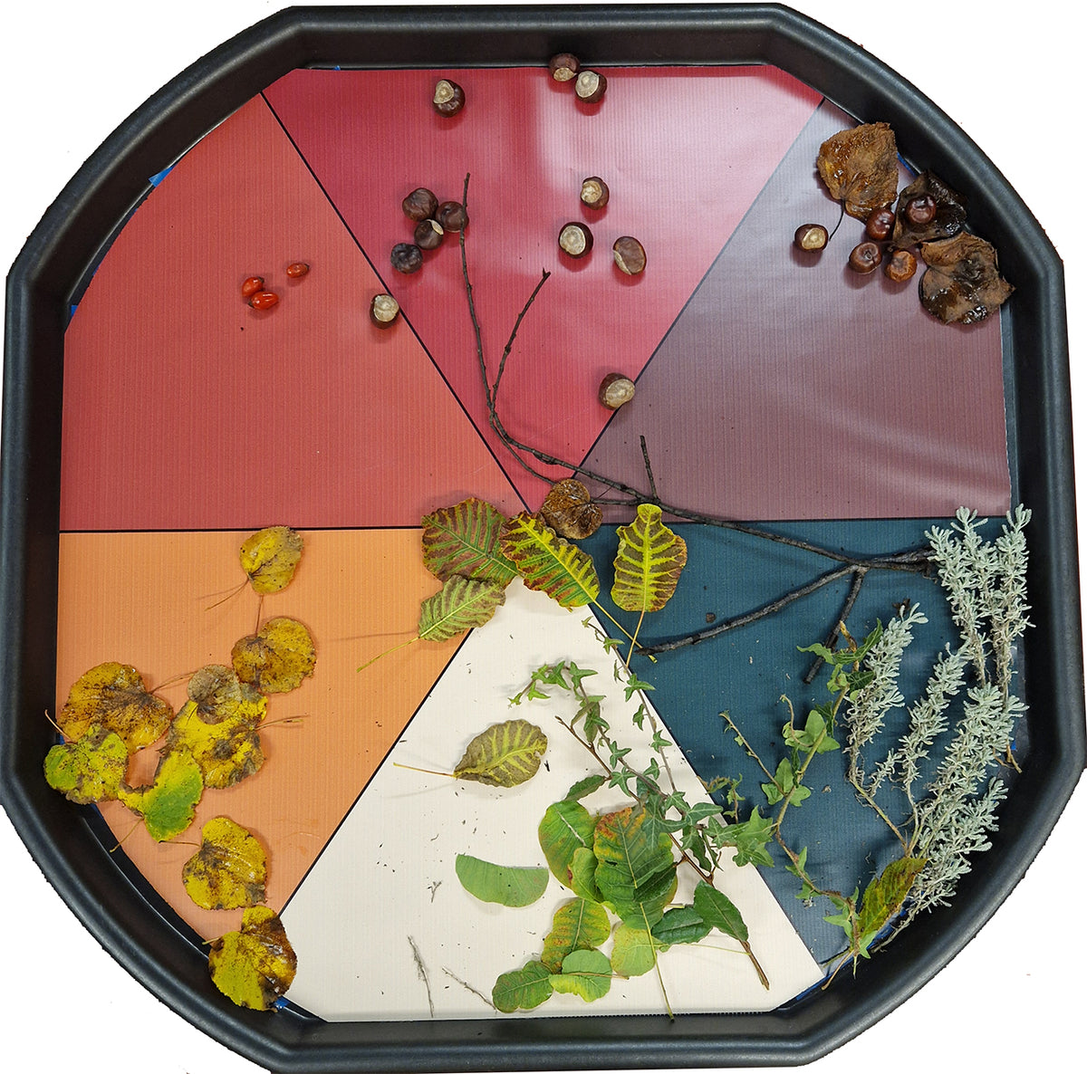 Autumn colour wheel mini Tuff Tray insert – Tiger Moon