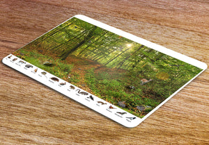 Woodlands theme placemat 23x32cm